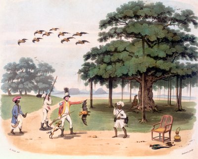Flying foxes at Banyantree by Charles Emilius Gold
